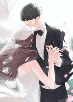 Обои