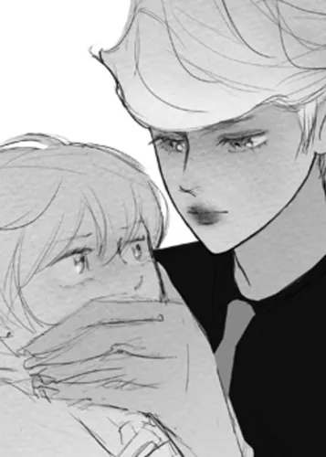 Обои