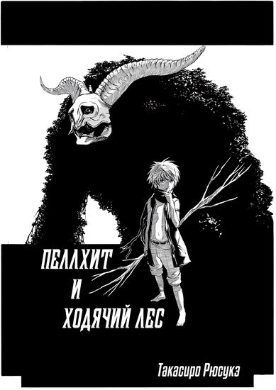 Обои