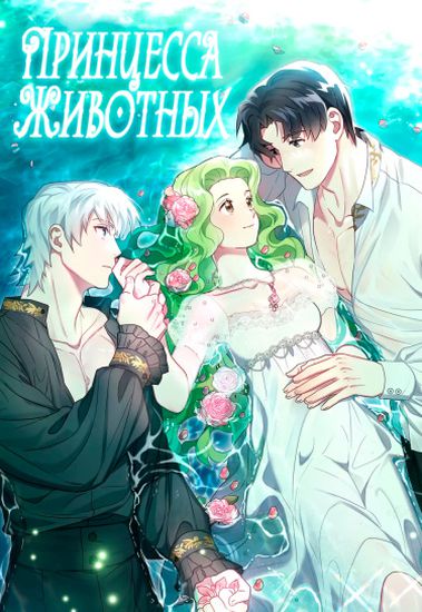 Обои