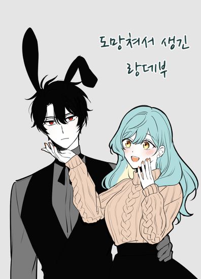 Обои