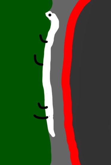 Обои