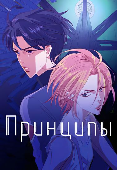 Обои