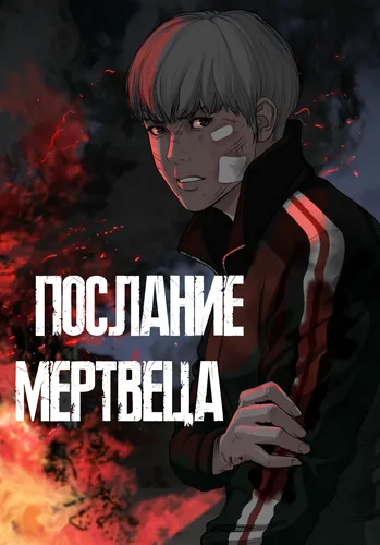 Обои