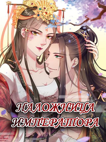 Обои