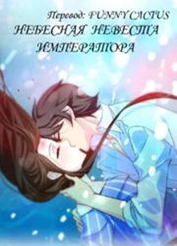 Обои