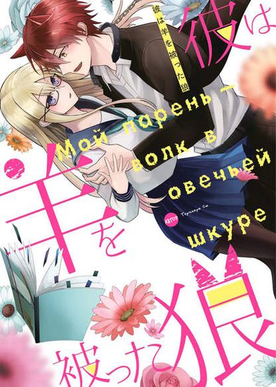 Обои