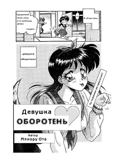 Обои