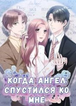 Обои