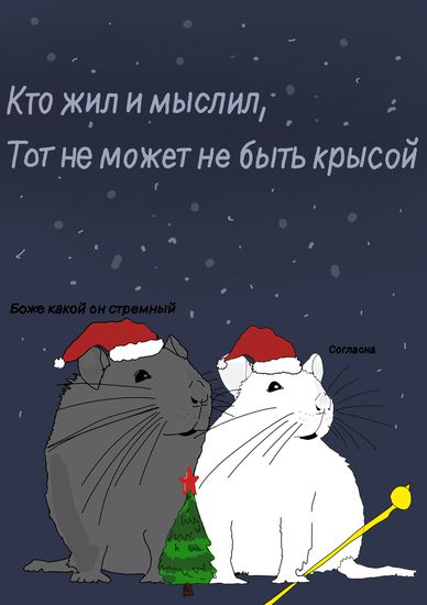 Обои