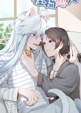Обои