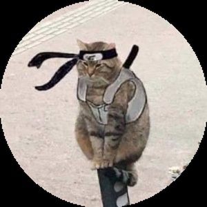 Котаге_Хвостатого_Лотка