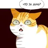 Myzыk@