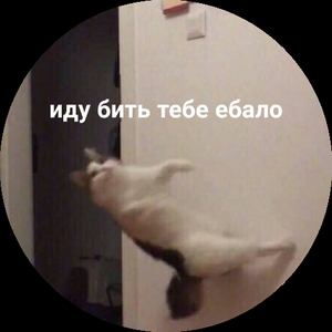 vechnopyan
