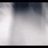 NX_Morisanta