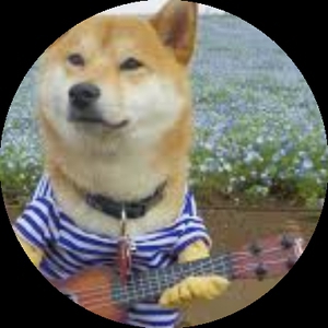 DOGster_solo
