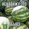 Фикус_