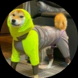 Fil