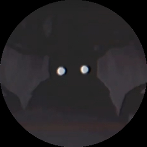 SaiMon.