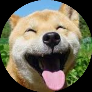 Rushi