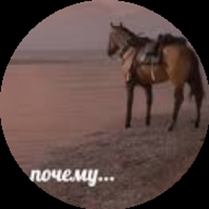 Пoчeму