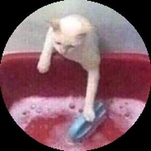 _dummy_
