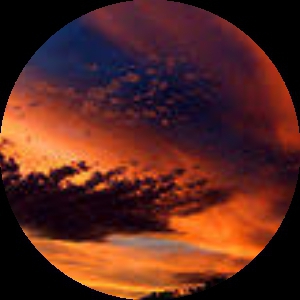 RippedTheSkies