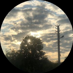 illia21031306